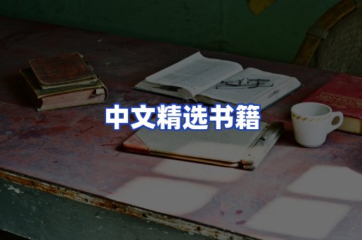 中文精选书籍